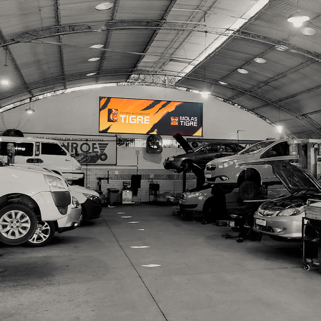portfolio_tigre2024_07